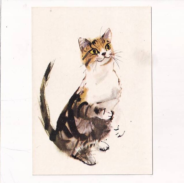 JANUSZ GRABIAŃSKI KOT POCZTÓWKA A26646