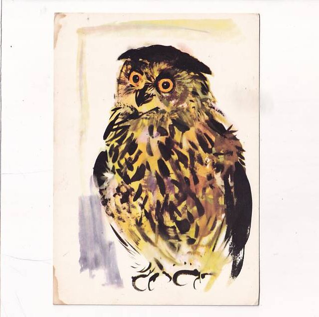 JANUSZ GRABIAŃSKI PTAKI SOWA POCZTÓWKA A26660