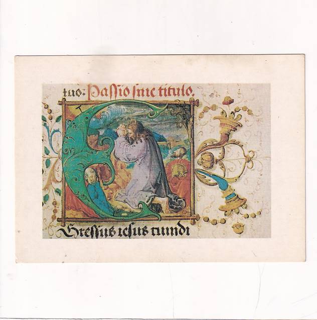 MSZAŁ ERAZMA CIOŁKA ZESTAW 9 SZTUK POCZTÓWKA A29039 - obrazek 4