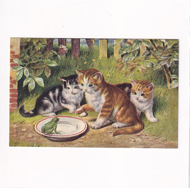 KOT KOTY KOCIAKI REPRINT POCZTÓWKA zw-139