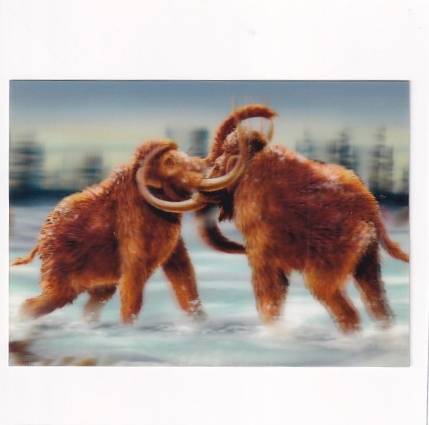 MAMUTY POCZTÓWKA 3D TRÓJWYMIAROWA 3D295