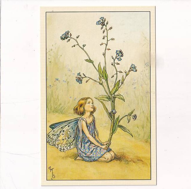 WRÓŻKA KWIATOWA NIEZAPOMINAJKA POCZTÓWKA KOM-759