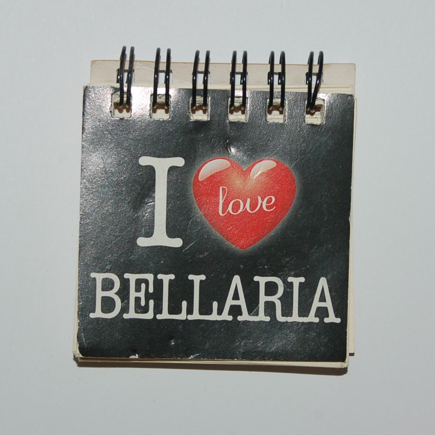 MAGNES NA LODÓWKĘ WŁOCHY BELLARIA NOTES 13003