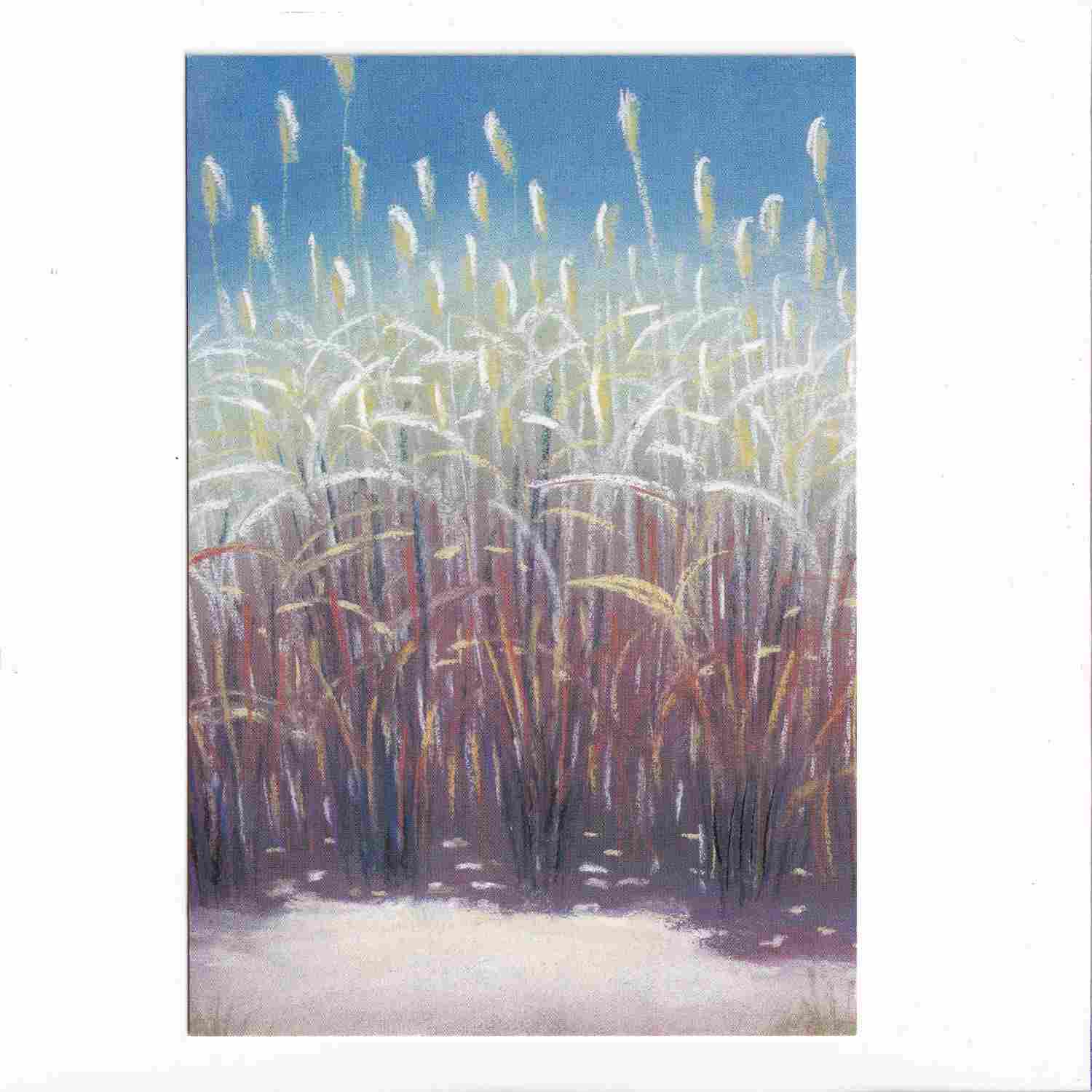 DISNEY COLLECTION PIXAR "PTASIE SPRAWKI" 2005 POCZTÓWKA KOM-1263