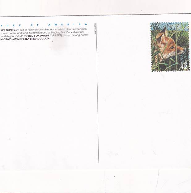NATURA AMERYKI USA ZESTAW 10 POCZTÓWEK POCZTÓWKA A35446 - obrazek 7