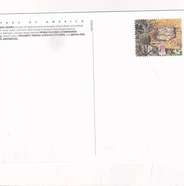 NATURA AMERYKI USA ZESTAW 10 POCZTÓWEK POCZTÓWKA A35446 - obrazek 6
