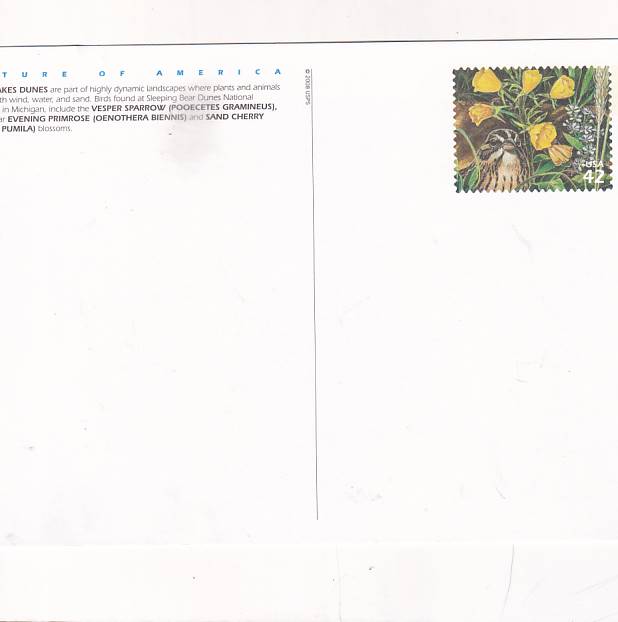 NATURA AMERYKI USA ZESTAW 10 POCZTÓWEK POCZTÓWKA A35446 - obrazek 2