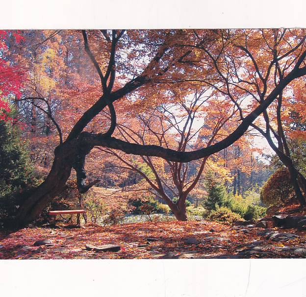 KOREA PÓŁNOCNA Kaeson Youth Park WIDOKÓWKA A36374