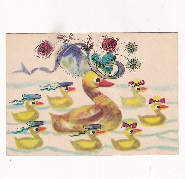 MARIA ORŁOWSKA-GABRYŚ KACZUSZKI DO WIERSZYKA W.S. POCZTÓWKA GRAF-2472