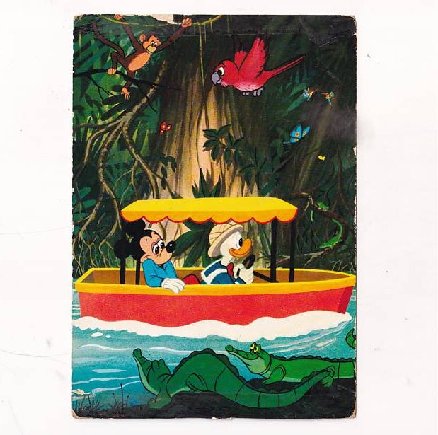 DISNEY KACZOR DONALD MICKEY MOUSE W DŻUNGLI POCZTÓWKA KOM-1456