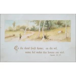 MYŚLIWY LAS WERSET Z BIBLII POCZTÓWKA GRAF-4619