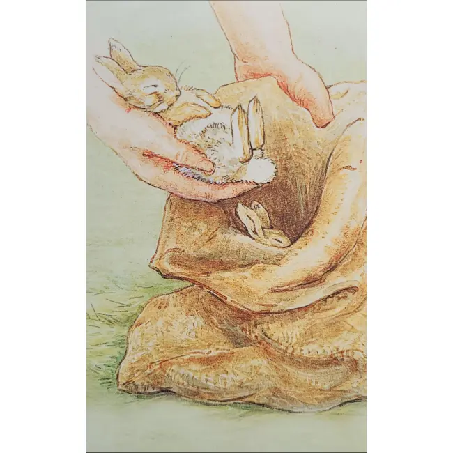 BAJKA O KRÓLICZKACH FLOPSY BEATRIX POTTER POCZTÓWKA KOM-1532