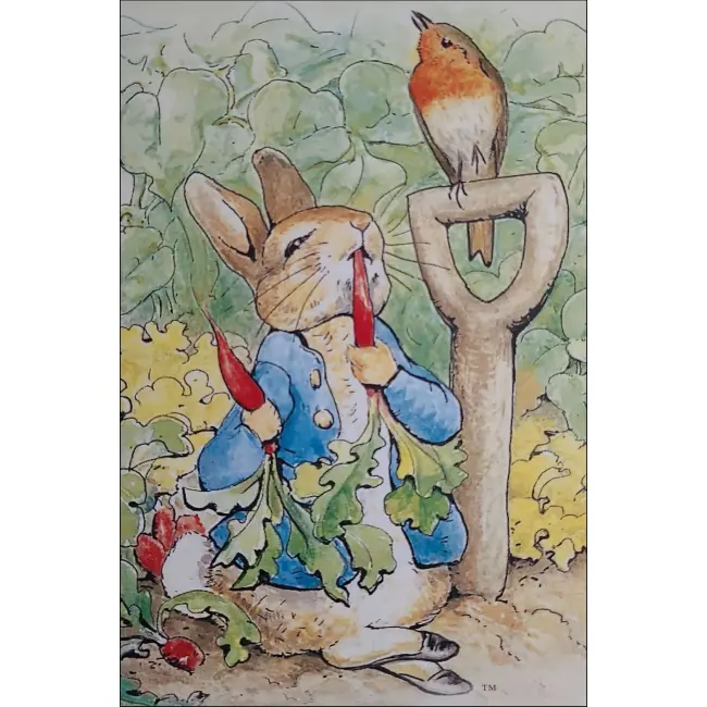 BAJKA O PIOTRUSIU KRÓLIKU BEATRIX POTTER POCZTÓWKA KOM-1544