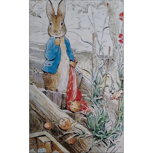 BAJKA O PIOTRUSIU KRÓLIKU BEATRIX POTTER POCZTÓWKA KOM-1545