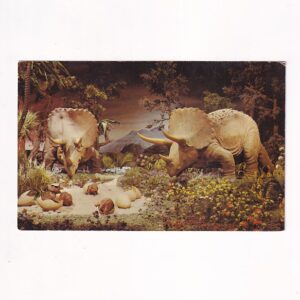 VINTAGE KALIFORNIA DISNEYLAND DINOZAURY POCZTÓWKA A39507