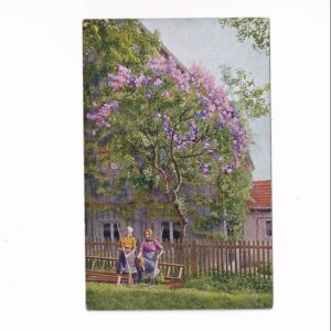 BEZ KOBIETY GRABIĄCE TRAWĘ FOLKLOR POCZTÓWKA A39639
