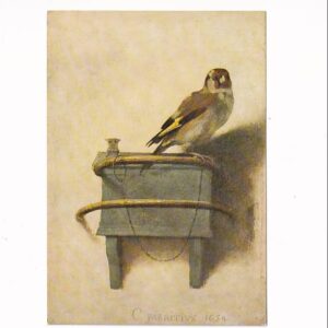 CAREL FABRITIUS "SZCZYGIEŁ" POCZTÓWKA A39665