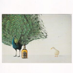 ALKOHOLE WHISKY CHIVAS REGAL POCZTÓWKA A39722