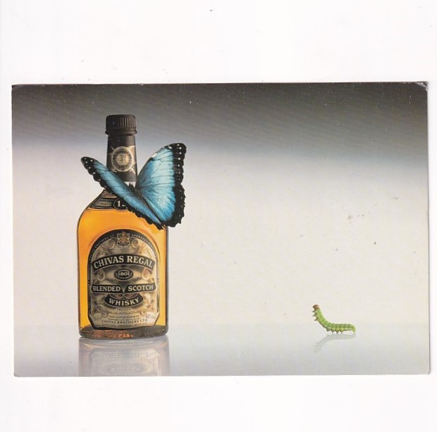ALKOHOLE WHISKY CHIVAS REGAL POCZTÓWKA A39723