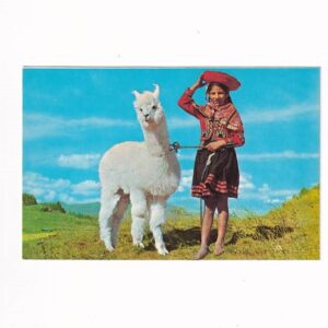 PERU CUZCO DZIEWCZYNKA Z ALPAKĄ FOLKLOR POCZTÓWKA A39725