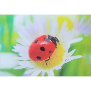OWADY BIEDRONKA 3D POCZTÓWKA TRÓJWYMIAROWA 3D 948