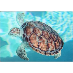 ZWIERZĘTA ŻÓŁW MORSKI 3D POCZTÓWKA TRÓJWYMIAROWA 3D 960