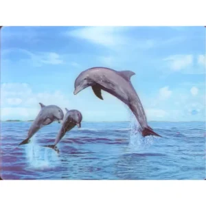 RYBY DELFINY 3D POCZTÓWKA TRÓJWYMIAROWA 3D 990