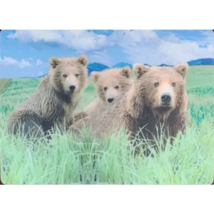 ZWIERZĘTA NIEDŹWIEDZICA Z MŁODYMI POLARNY 3D POCZTÓWKA TRÓJWYMIAROWA 3D 994