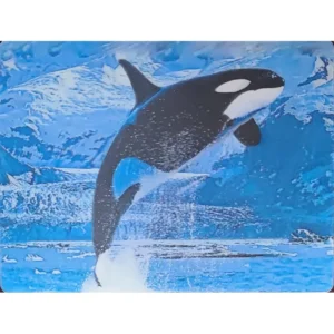 RYBY ORKA 3D POCZTÓWKA TRÓJWYMIAROWA 3D 998