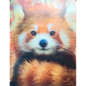 ZWIERZĘTA PANDA CZERWONA 3D POCZTÓWKA TRÓJWYMIAROWA 3D 999