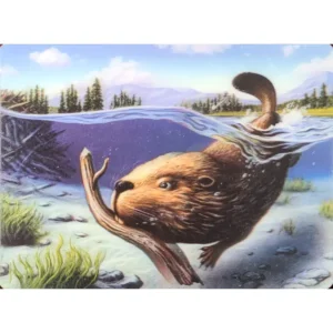 ZWIERZĘTA BÓBR 3D POCZTÓWKA TRÓJWYMIAROWA 3D 1005