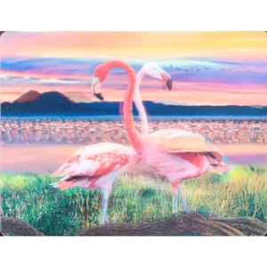 PTAKI FLAMINGI 3D POCZTÓWKA TRÓJWYMIAROWA 3D 1007