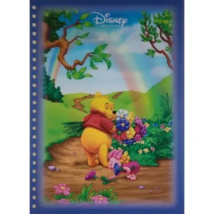 DISNEY KUBUŚ PUCHATEK KARTKA Z SEGREGATORA 3D TRÓJWYMIAROWA 3D 1016