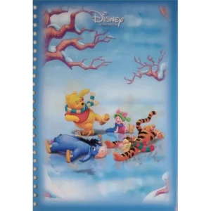 DISNEY KUBUŚ PUCHATEK KARTKA Z SEGREGATORA 3D TRÓJWYMIAROWA 3D 1017