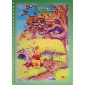 DISNEY KUBUŚ PUCHATEK KARTKA Z SEGREGATORA 3D TRÓJWYMIAROWA 3D 1018