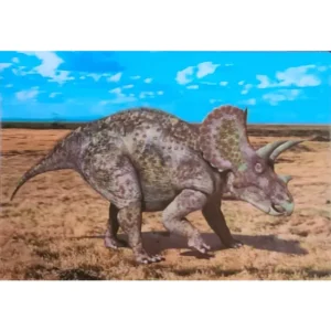 DINOZAURY TRICERATOPS 3D POCZTÓWKA TRÓJWYMIAROWA 3D 817
