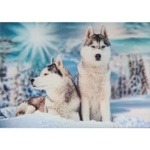 PSY HUSKY ZIMA 3D POCZTÓWKA TRÓJWYMIAROWA 3D 830