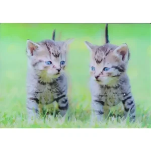 KOTY KOCIAKI 3D POCZTÓWKA TRÓJWYMIAROWA 3D 844