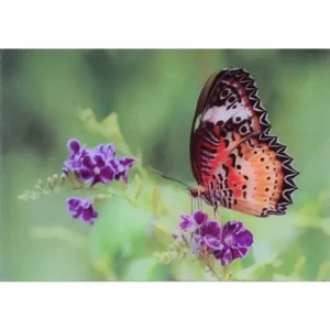 OWADY MOTYL NA FIOLETOWYCH KWIATKACH 3D POCZTÓWKA TRÓJWYMIAROWA 3D 913