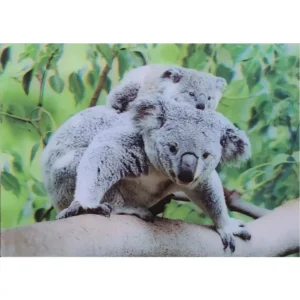 ZWIERZĘTA KOALA 3D POCZTÓWKA TRÓJWYMIAROWA 3D 919