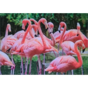 PTAKI FLAMINGI 3D POCZTÓWKA TRÓJWYMIAROWA 3D 938