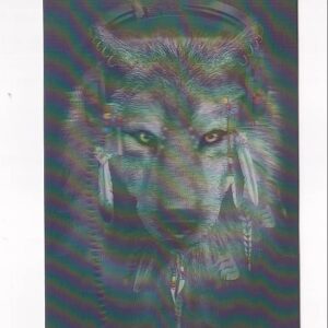 WILK W SŁUCHAWKACH 3D POCZTÓWKA TRÓJWYMIAROWA 3D 782