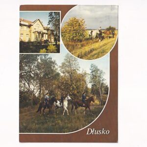 KRASNE DŁUSKO OŚRODEK JEŹDZIECKI PAŁAC KONIE WIDOKÓWKA A40067