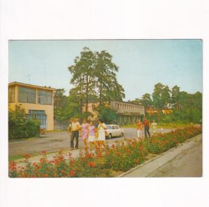 KOLUMNA LAS SAMOCHÓD ŁASK WIDOKÓWKA A40162