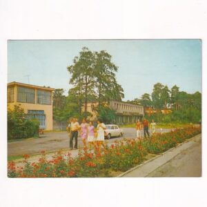 KOLUMNA LAS SAMOCHÓD ŁASK WIDOKÓWKA A40162