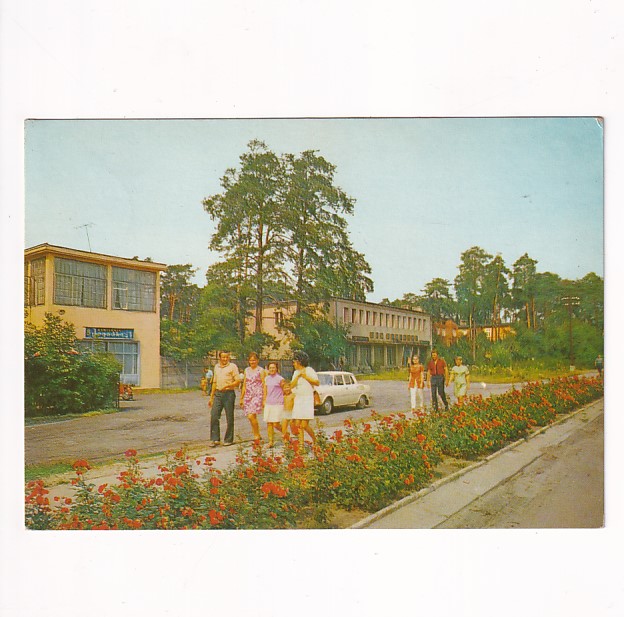 KOLUMNA LAS SAMOCHÓD ŁASK WIDOKÓWKA A40162