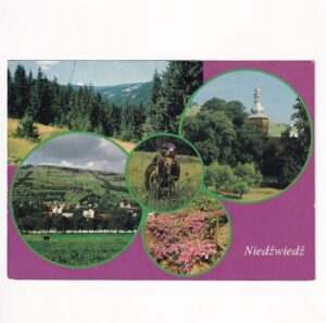 NIEDŹWIEDŹ POWIAT LIMANOWSKI WIDOKÓWKA A40168