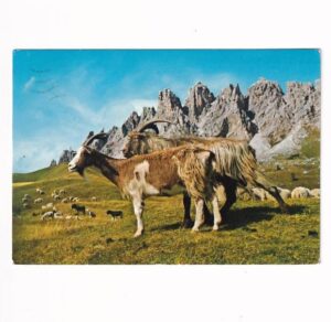 KOZY DOLOMITY PASSO GARDENA WIDOKÓWKA A40185