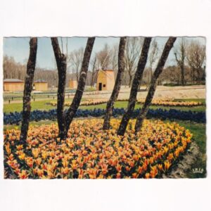 FRANCJA PARC RESIDENTIEL DES FLORALIES PALMYRE WIATRAK POCZTÓWKA A40364