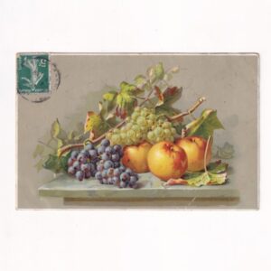 MARTWA NATURA Z JABŁKAMI I WINOGRONAMI POCZTÓWKA GRAF-5472